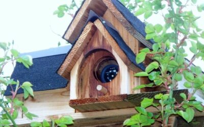 Clever Ways To Disguise Your Home Security Camera