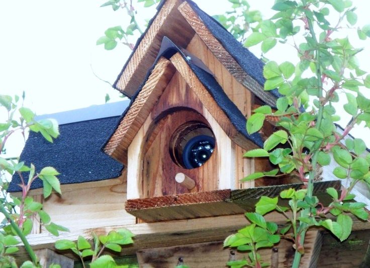 creative ways to hide outdoor security cameras